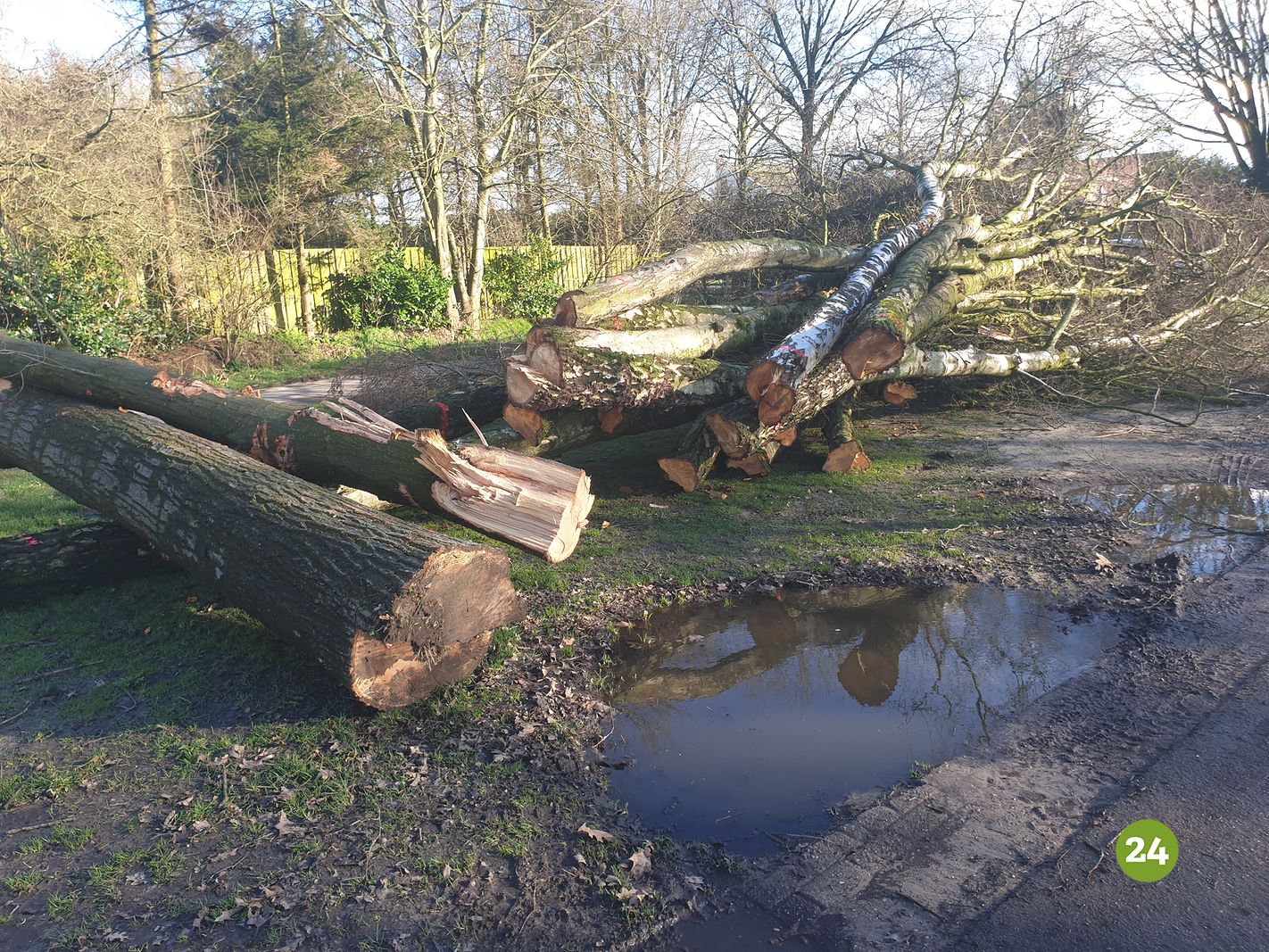 Planten En Kappen Bomen - Heeze-leende24